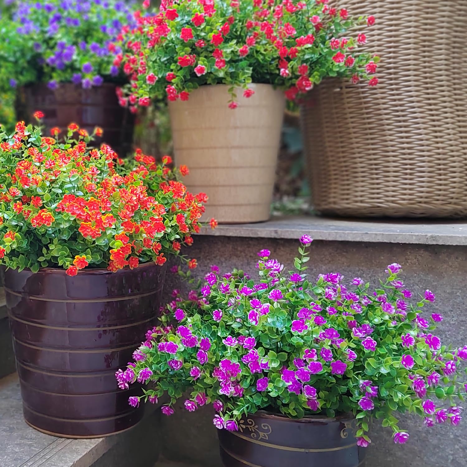 Grunyia maintenance-free pink flowers save watering and pruning time.