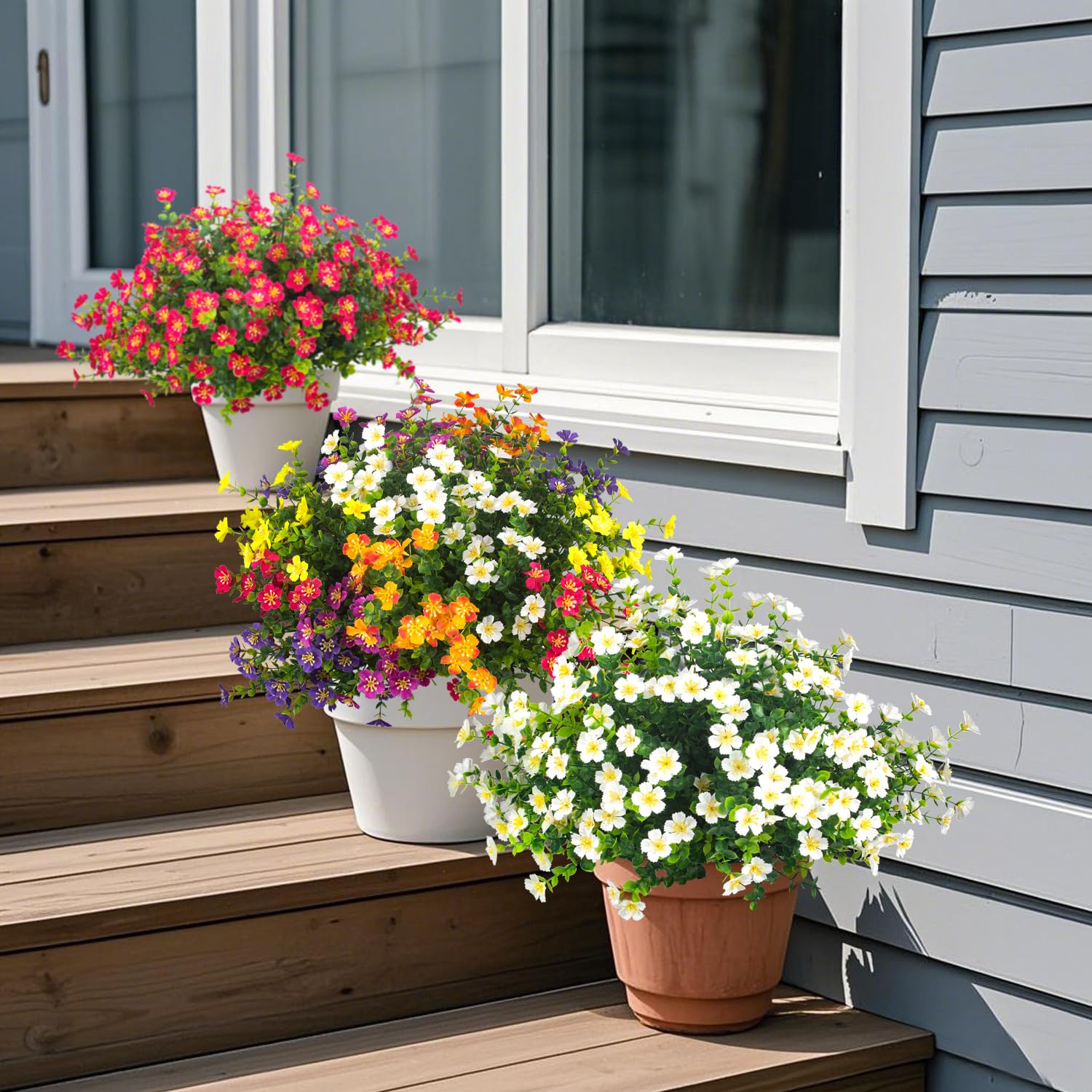 Grunyia flowers suitable for weddings, events, and commercial landscaping setups