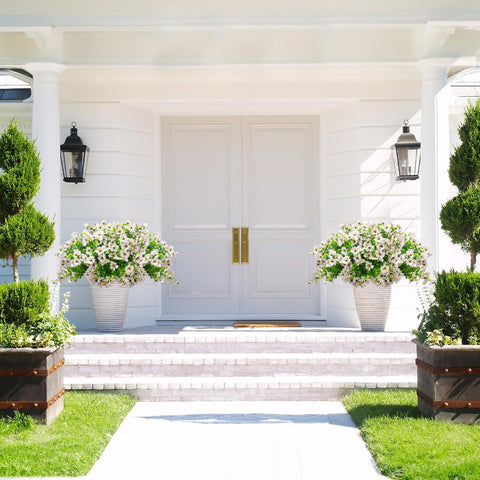 Grunyia white daisies ideal for porch or patio decorative arrangements.