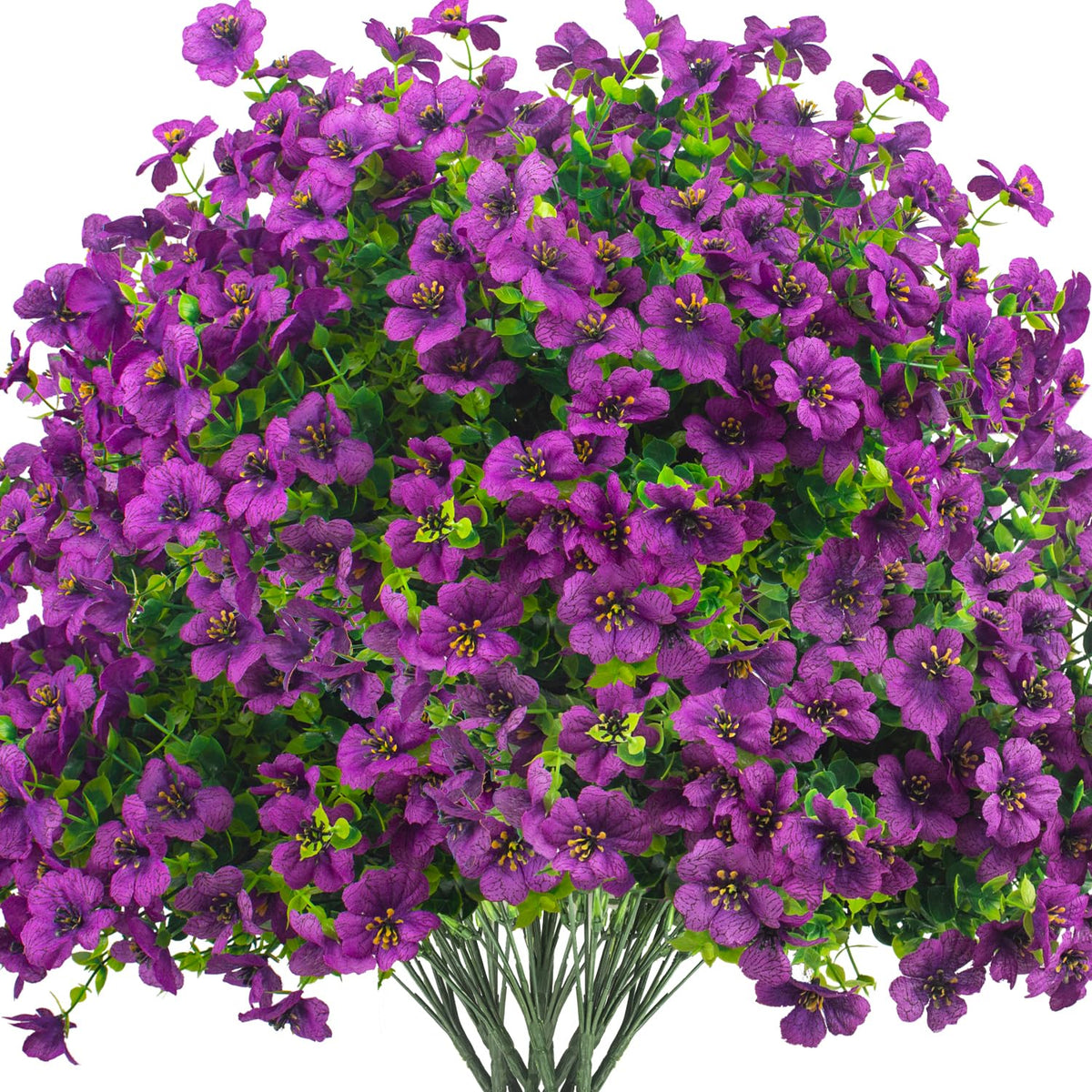 Grunyia purple daisy 16-bundle outdoor display for year-round color.