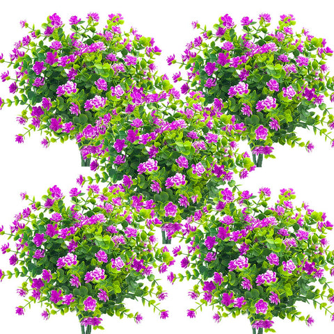 Grunyia purple eucalyptus outdoor shrub adds color to porch decoration