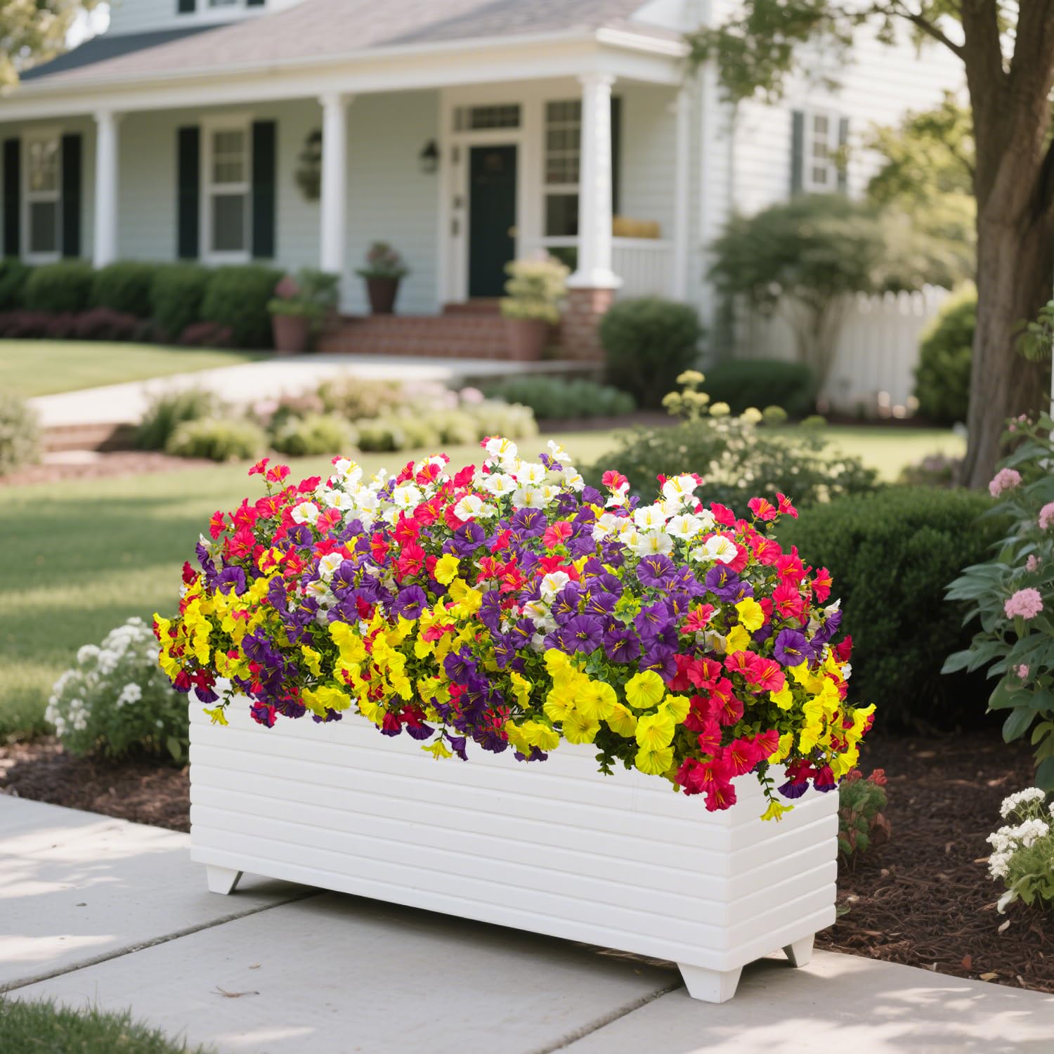 Grunyia morning glory arrangement ideal for porches patios and gardens