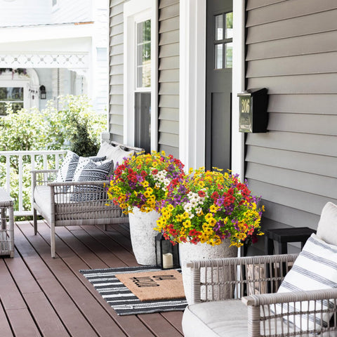 Grunyia versatile decoration for porch, window box, or garden.