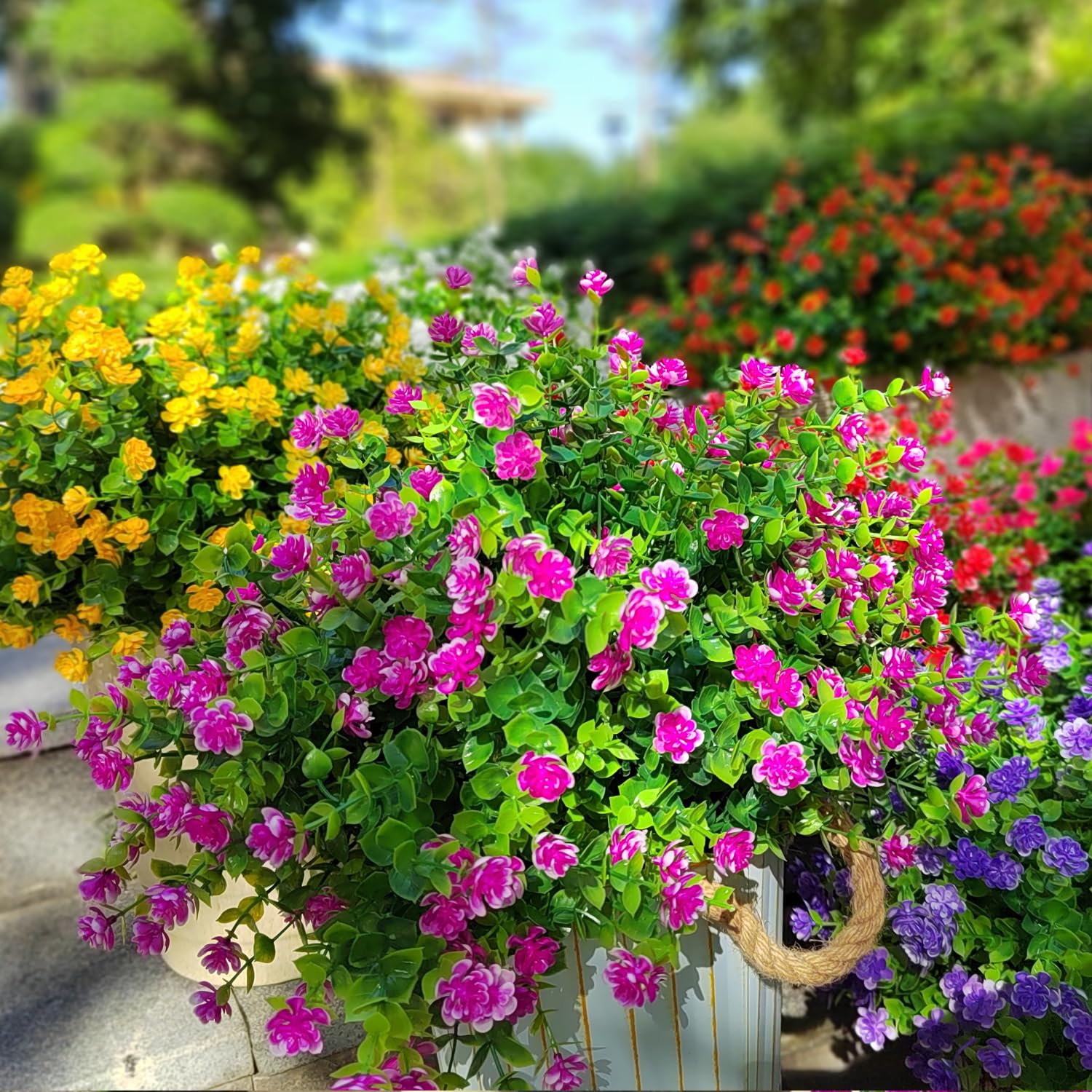 Grunyia durable outdoor blooms withstand rain and wind.