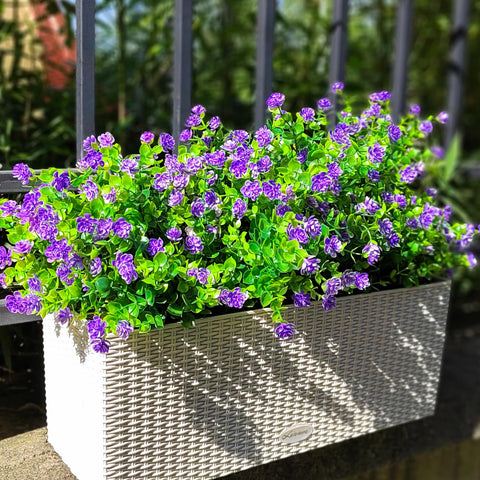 Grunyia weather-resistant arrangement enduring rain and sun.