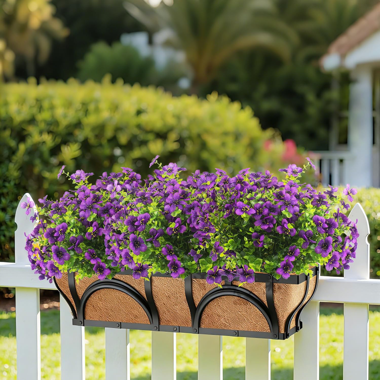 Grunyia UV-resistant blooms resist wind and sun for lasting color.