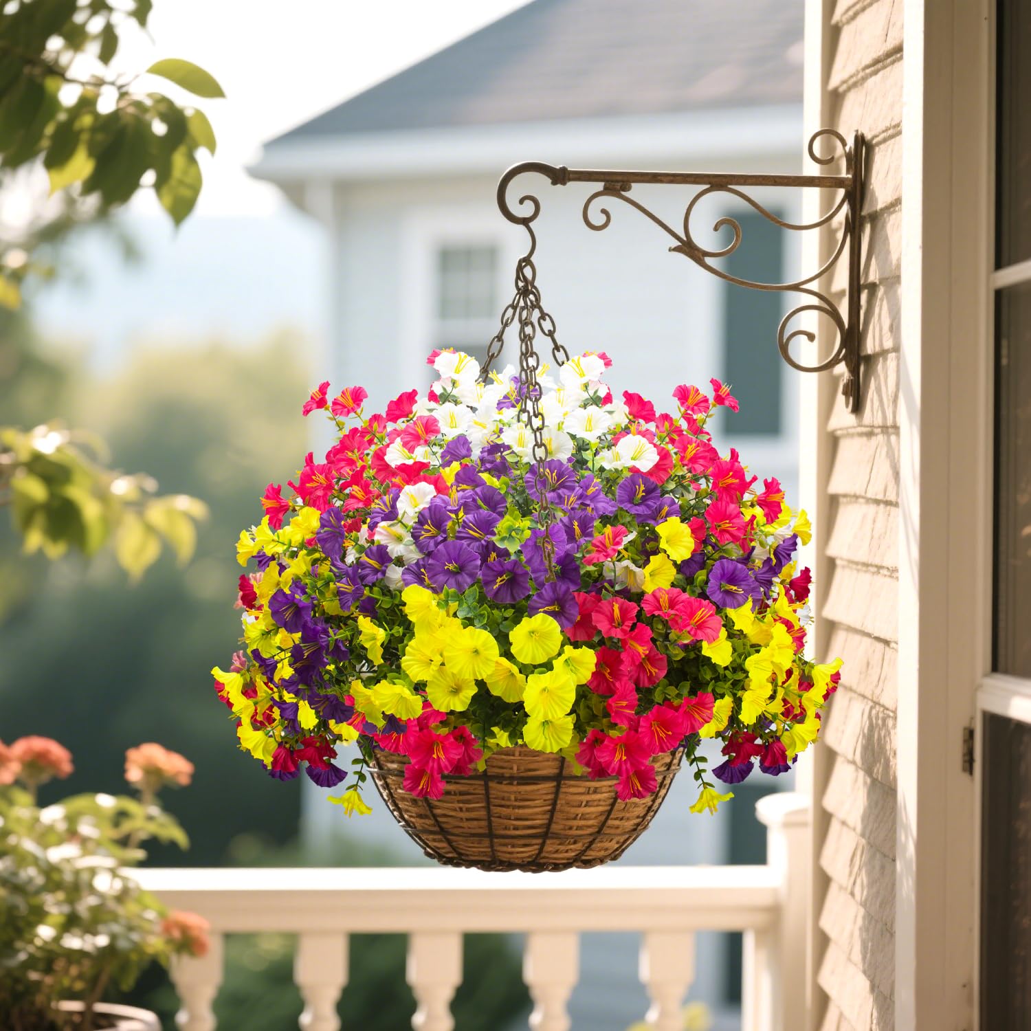 Grunyia UV-resistant blooms withstand sun and rain for year-round color