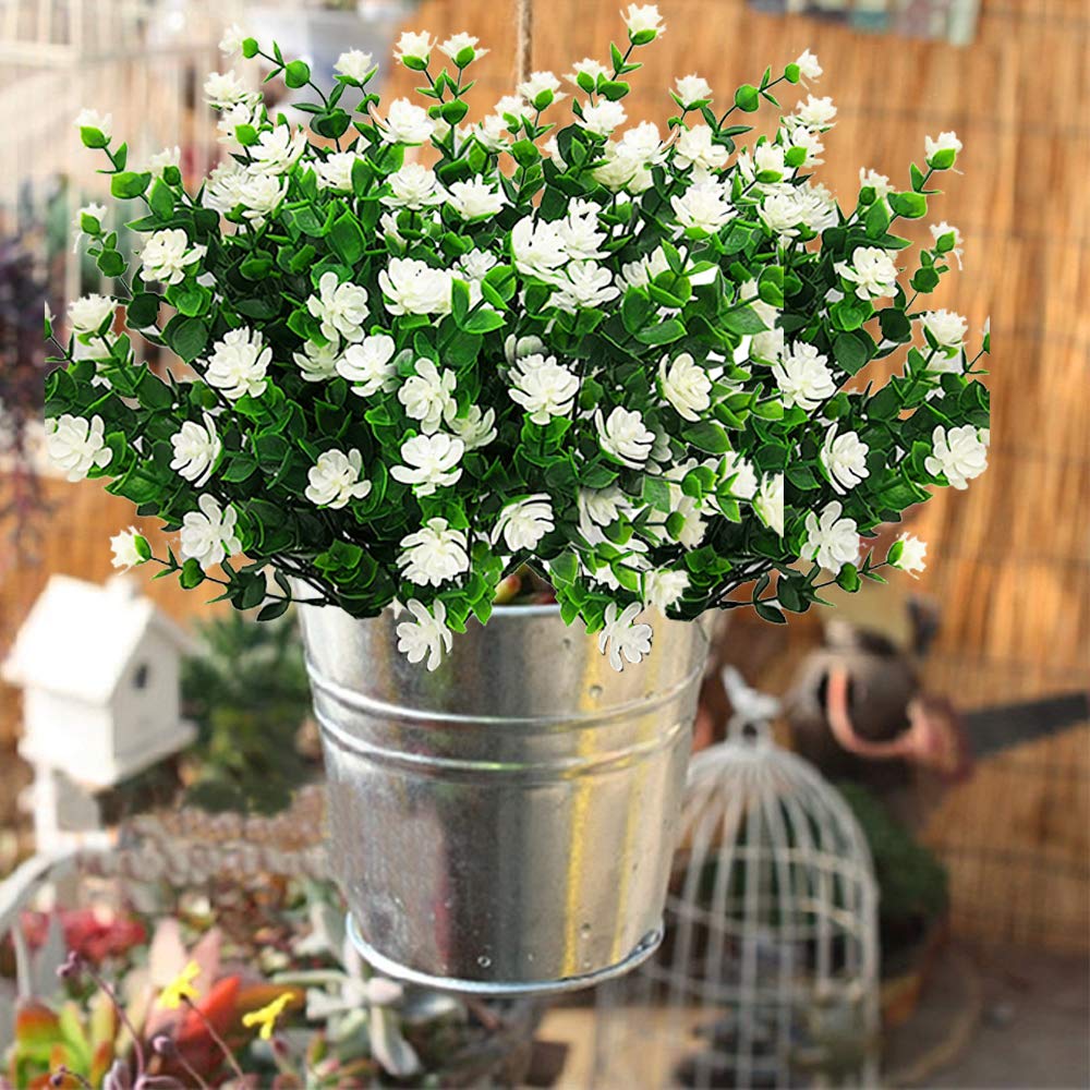 Grunyia white eucalyptus shrub outdoors displays weather-resistant greenery