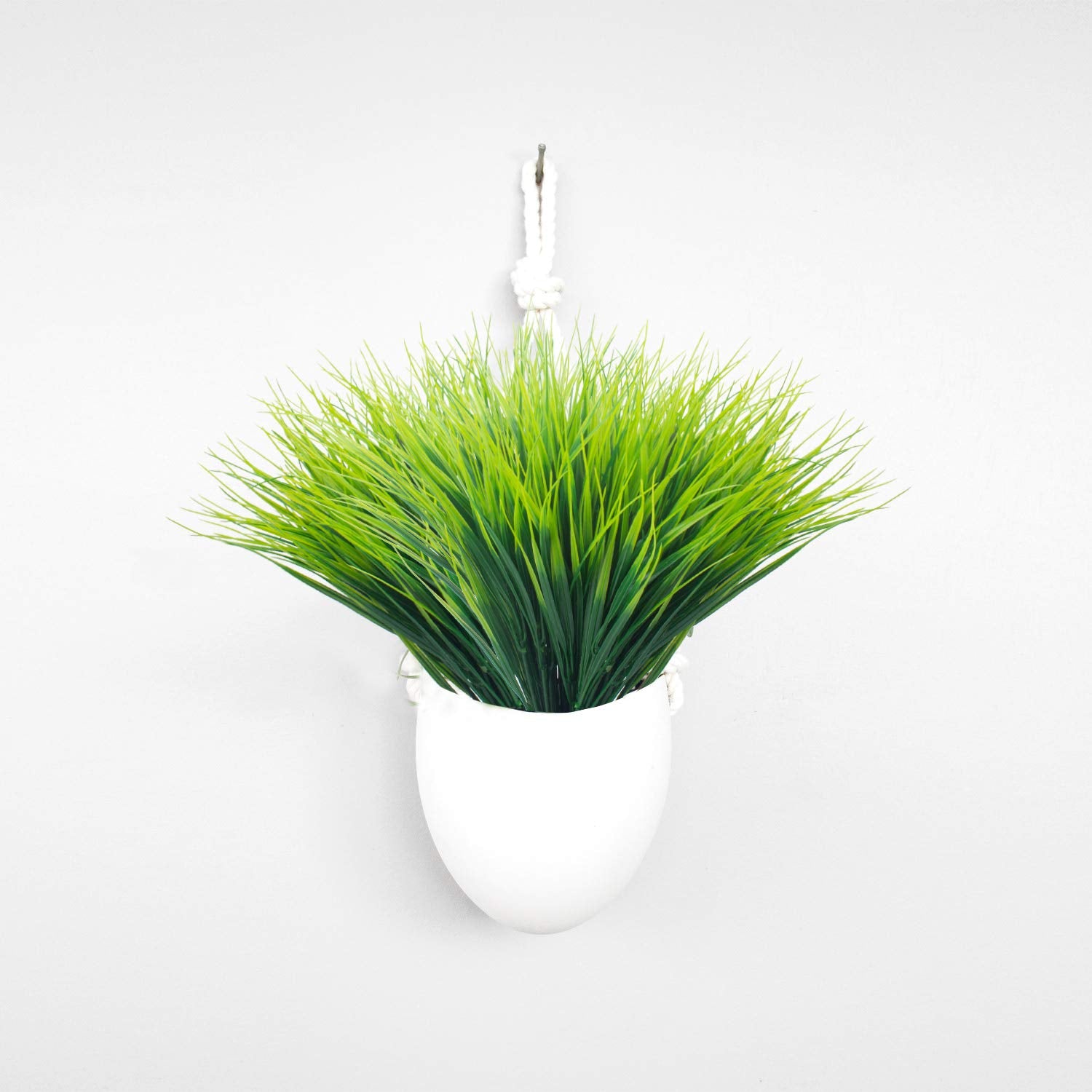 Grunyia window box greenery fits compact spaces for easy setup
