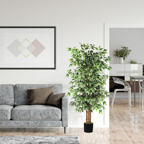 GTIDEA white-edged leaves provide modern, stylish greenery.
