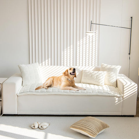 Gumfolk white couch cover on sofa protects furniture from pets