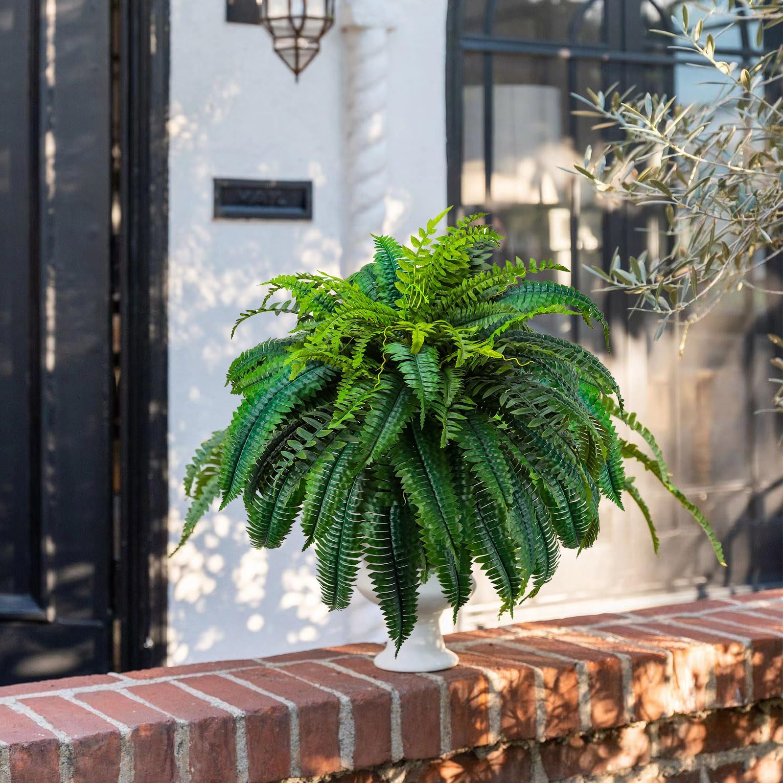 GYERB 48-inch fern filling a corner with lush greenery.