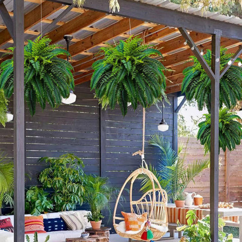 GYERB indoor office setup featuring maintenance-free artificial fern.