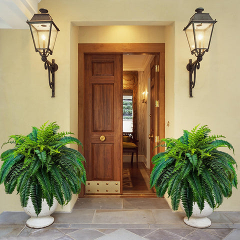 GYERB outdoor-ready fern on a porch with vibrant green.