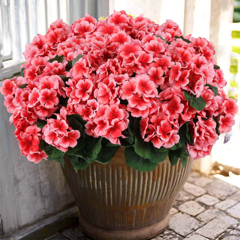 Hananona outdoor peach geranium bouquet for durable décor