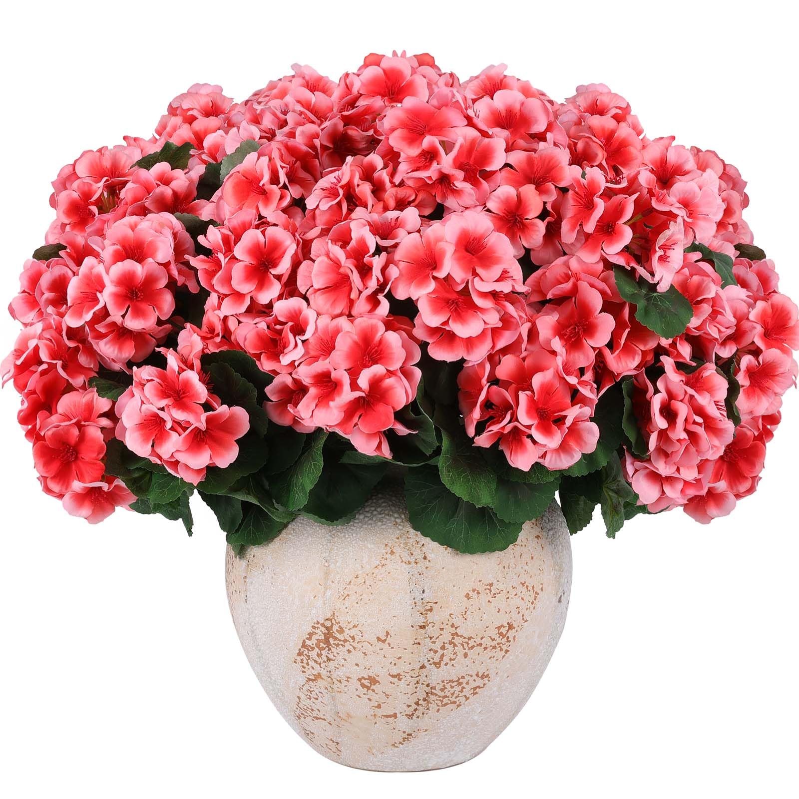 Hananona peach geranium bouquet close-up highlighting sun resistance