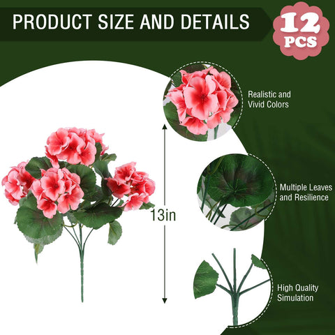 Hananona outdoor peach geranium bloom close-up for realism