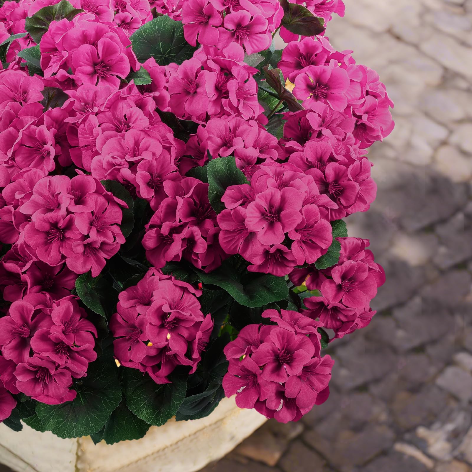 Hananona outdoor geraniums brighten a dining table with no watering