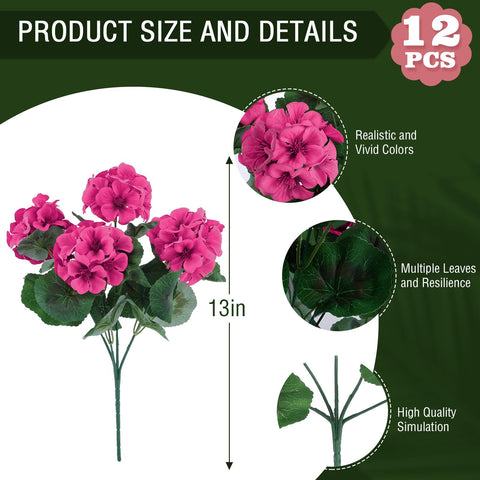 Hananona six bundle outdoor geraniums ready for porch or garden decor