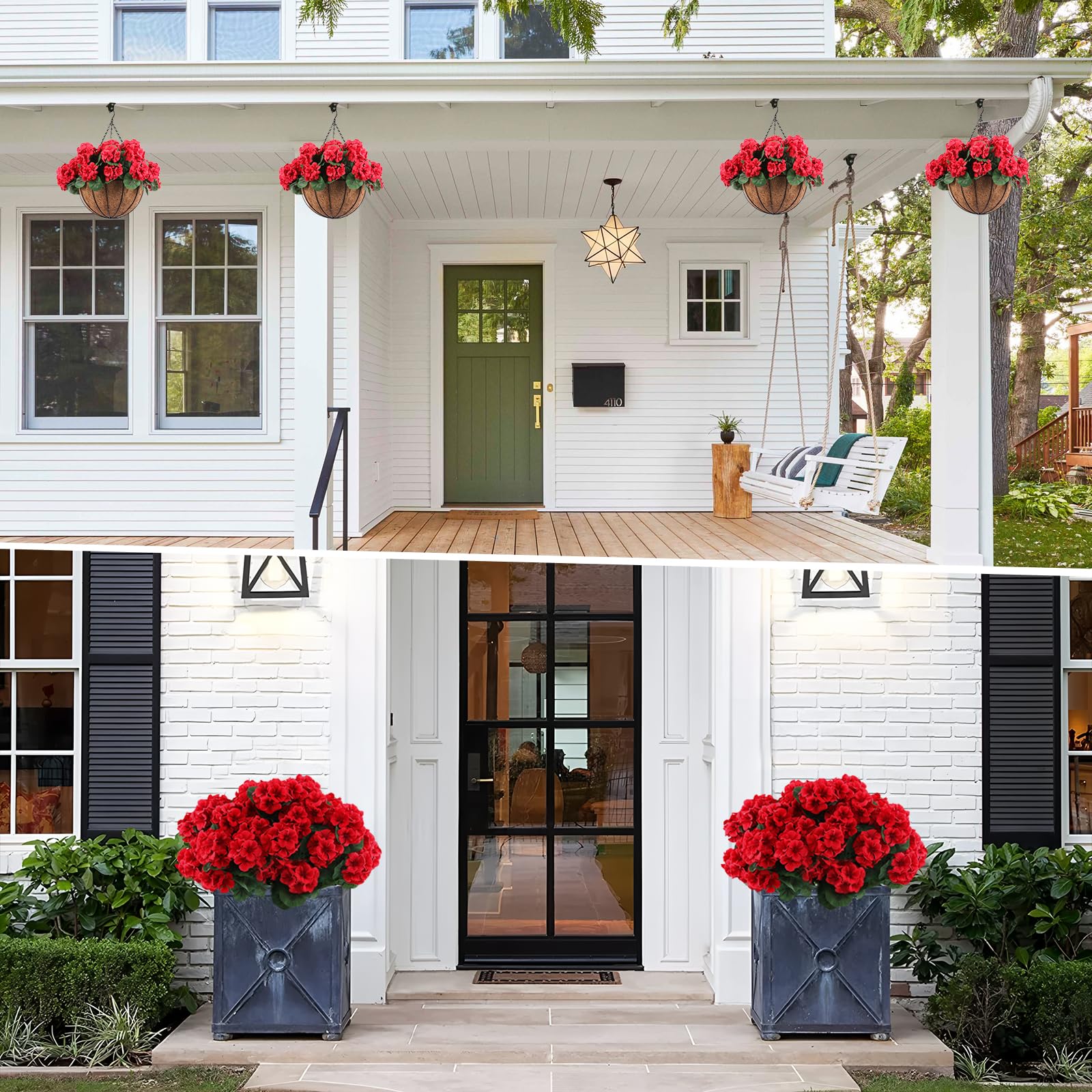 Hananona bold red geranium blooms brighten outdoor spaces
