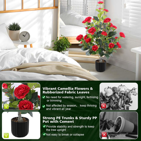 Hananona camellia dust wipe maintenance for easy upkeep.