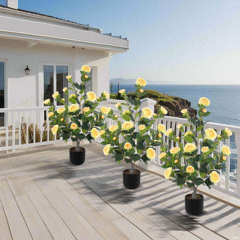 Hananona camellia tree near front door boosts curb appeal with minimal upkeep.