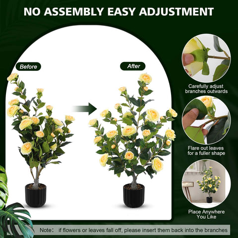Hananona camellia tree in living room display creates a warm, low-maintenance focal point.