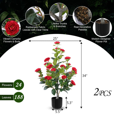 Hananona camellia tree in pot for elegant indoor or outdoor decor.