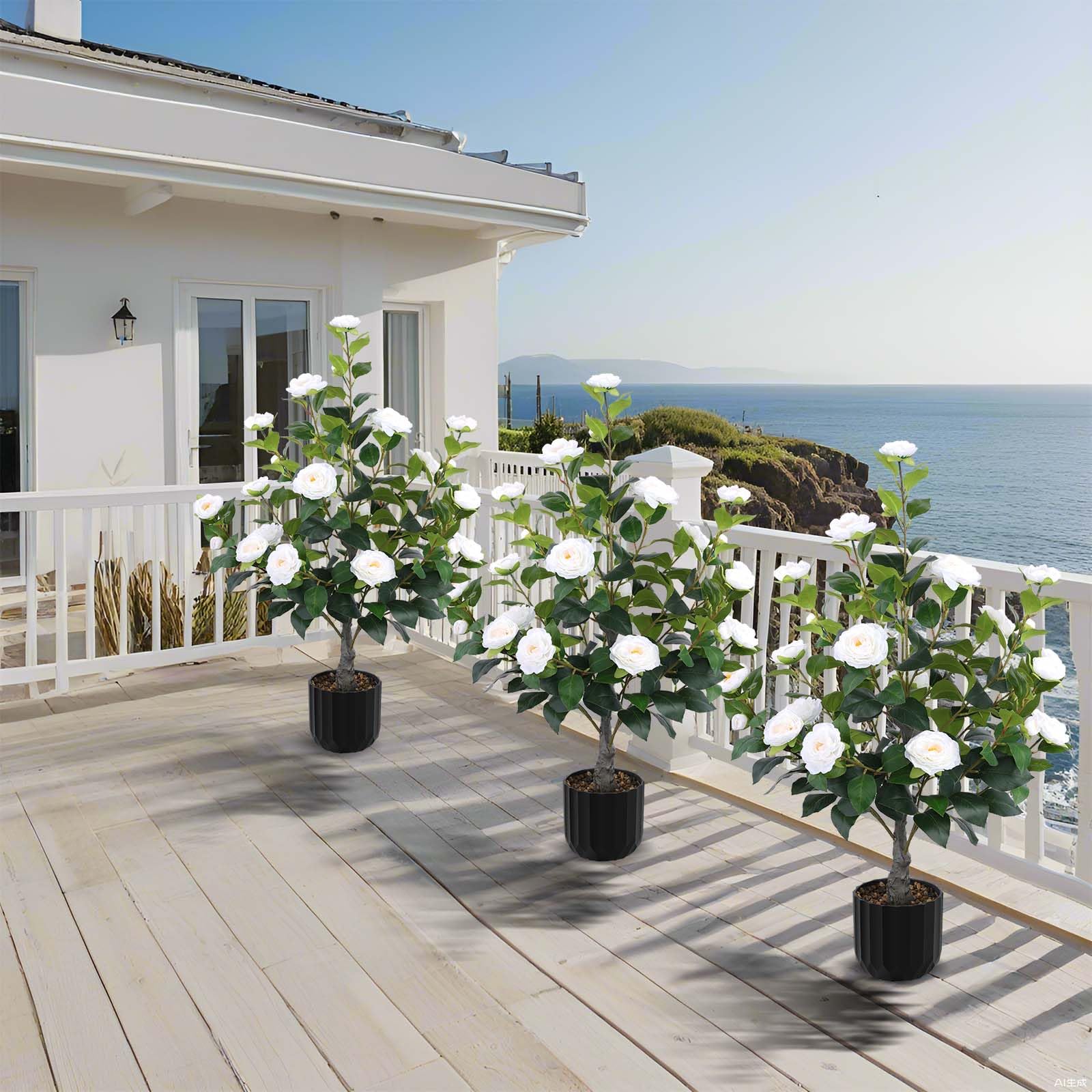 Hananona camellia tree outdoor porch use adds maintenance-free greenery.