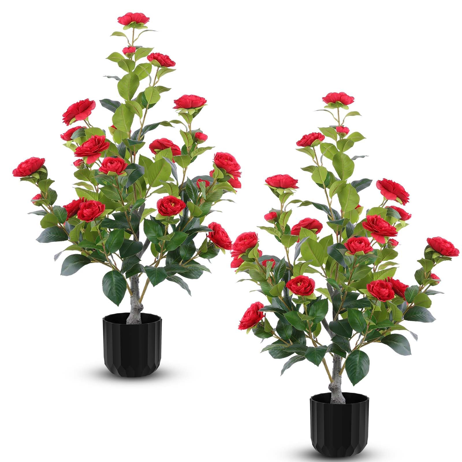Hananona camellia tree in red 35inch adds vibrant color to living spaces.