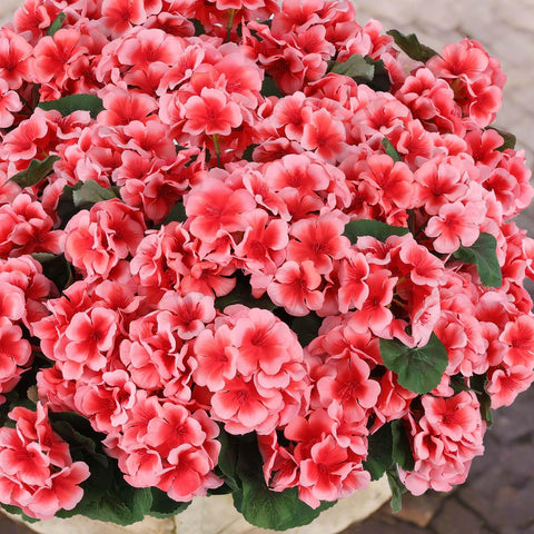 Hananona dining table centerpiece creates inviting ambiance with peach blooms