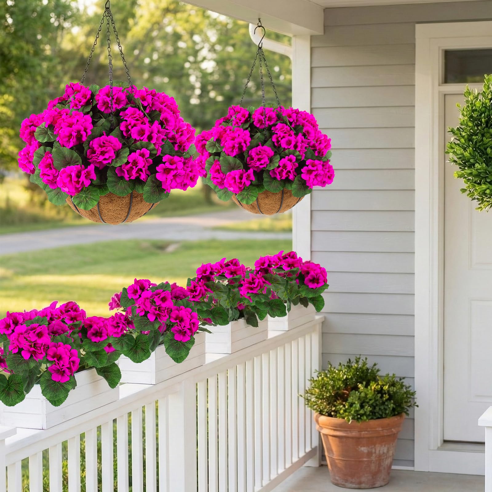 Hananona easy-care blooms with no watering or pruning required