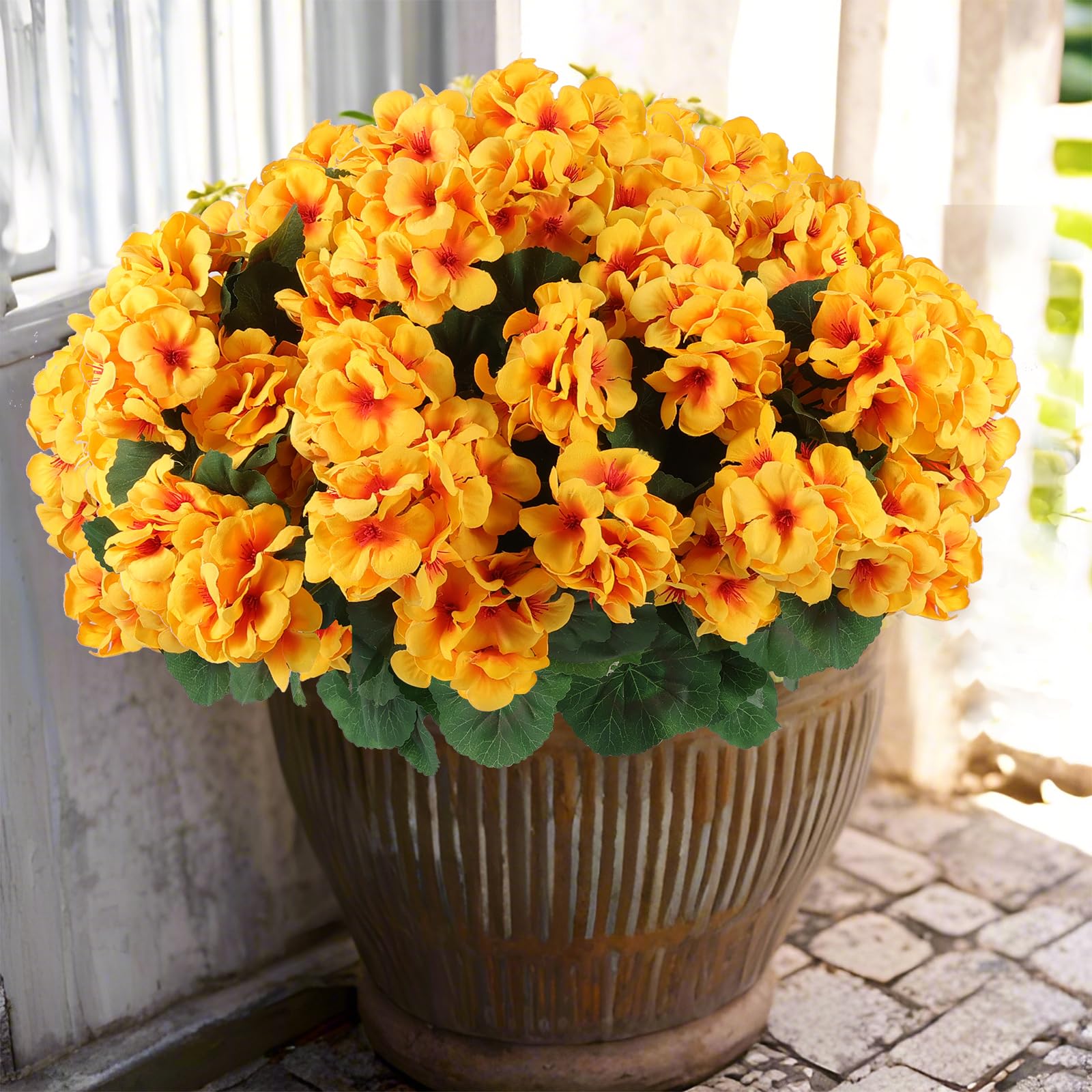 Hananona 12pc outdoor geranium bundles add robust garden color for outdoor spaces