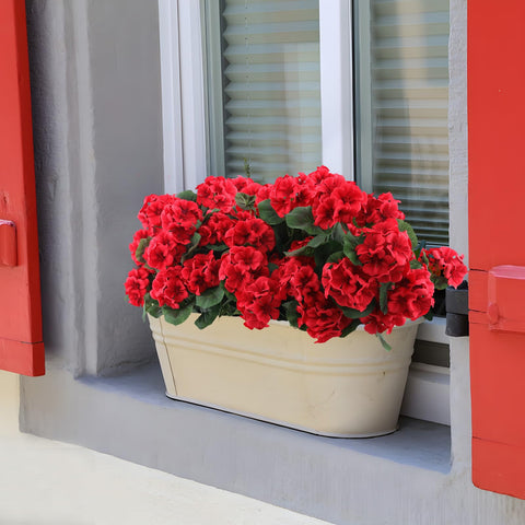 Hananona dining table centerpiece with bright red geraniums