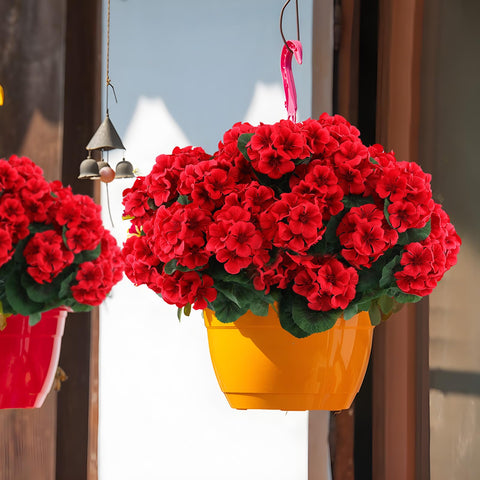 Hananona wedding decor with red geraniums adds festive flair