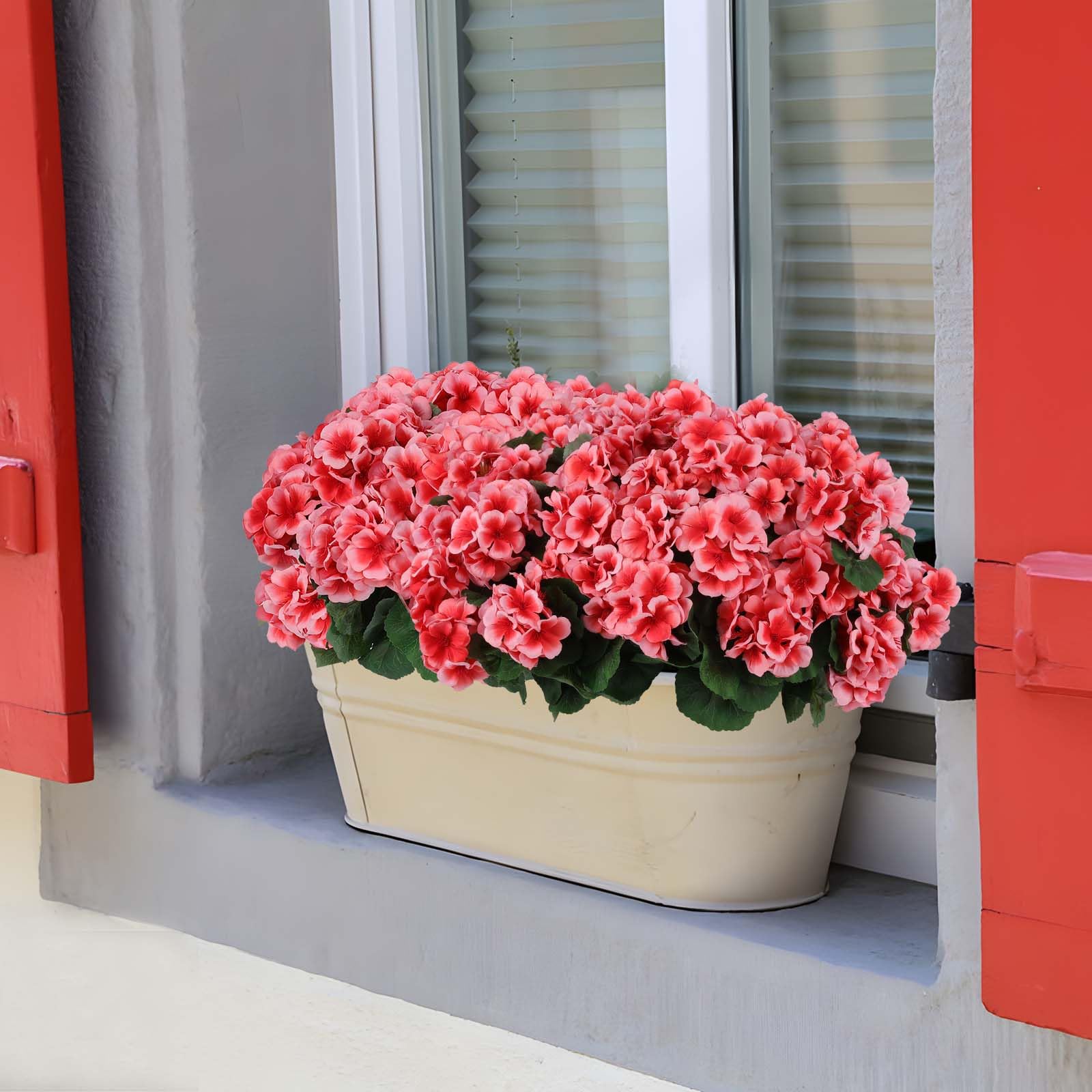 Hananona geraniums suitable for weddings and events as elegant decor