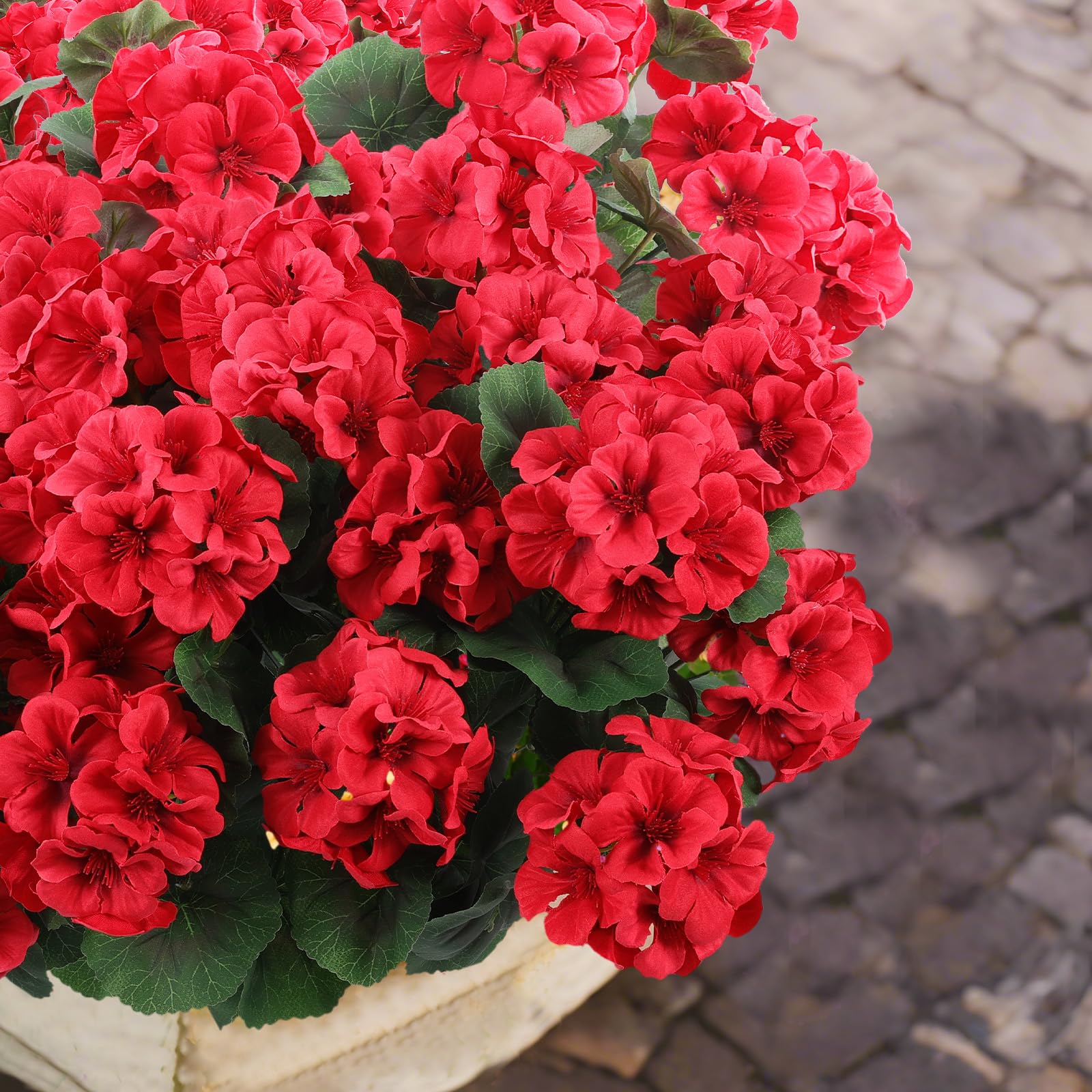 Hananona outdoor garden decor with red geraniums in sunlight