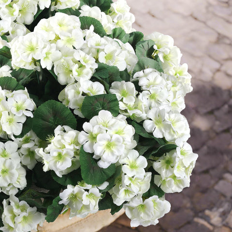 Hananona outdoor geraniums arranged in garden decor for durable display.