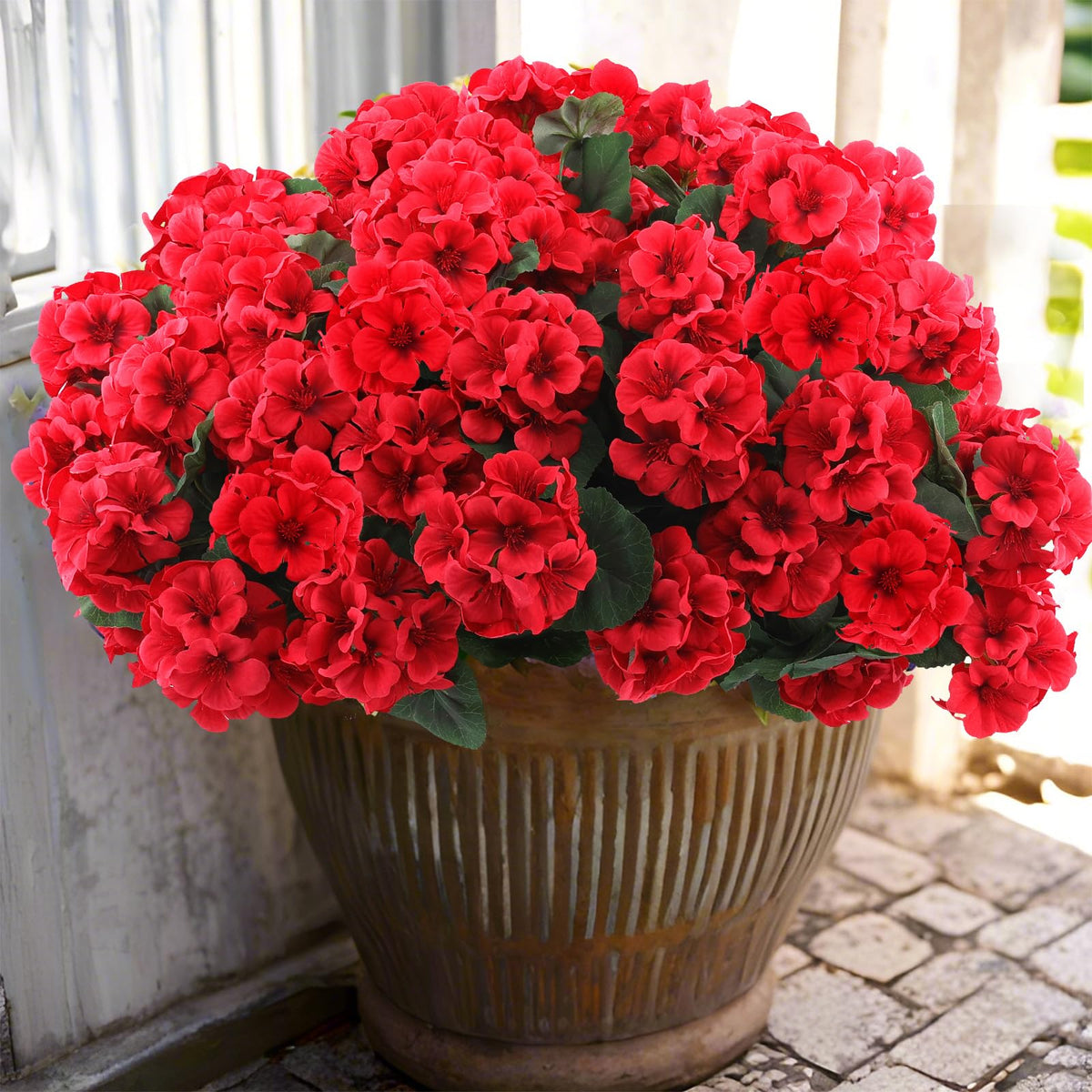 Hananona outdoor red geraniums bundle for vibrant garden decor