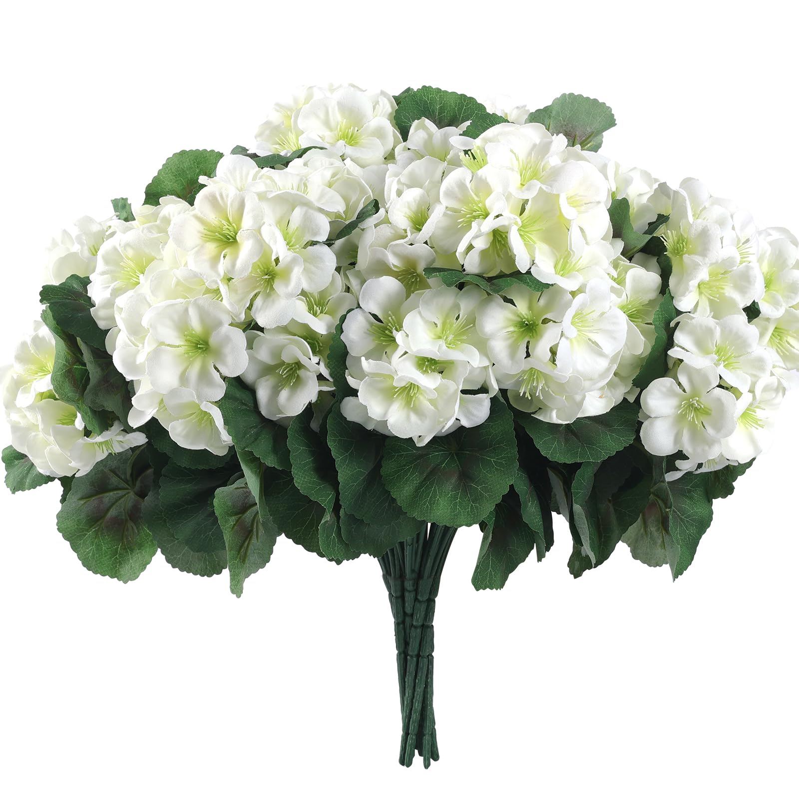 Hananona six-bundle pack offers full blooms for larger displays.