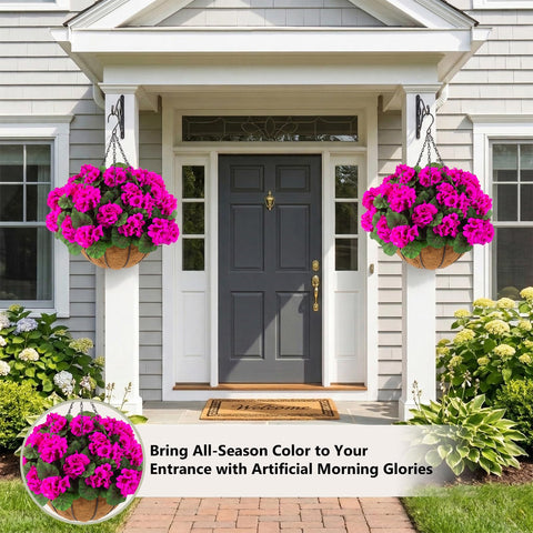 Hananona weather-resistant geraniums for spring and summer outdoors