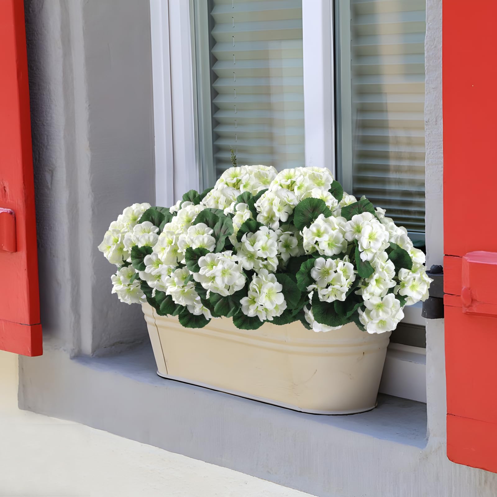 Hananona white geraniums used as dining table centerpiece for fresh ambience.