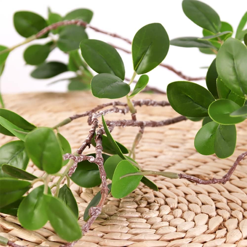 HANDIC 6pcs 45-inch branches ready for tall vase display.
