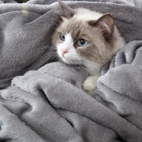 Hansleep blanket used outdoors for camping keeps you warm.