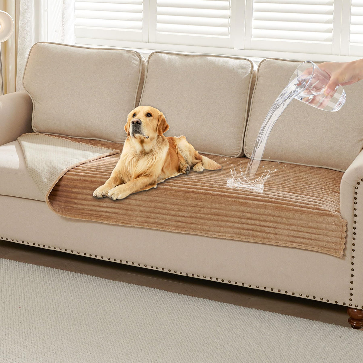 HAOMAIJIA waterproof dog couch cover protects furniture from spills.