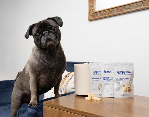 Happy Wax Bamboo White Tea cat melts refresh air and ease feline odors