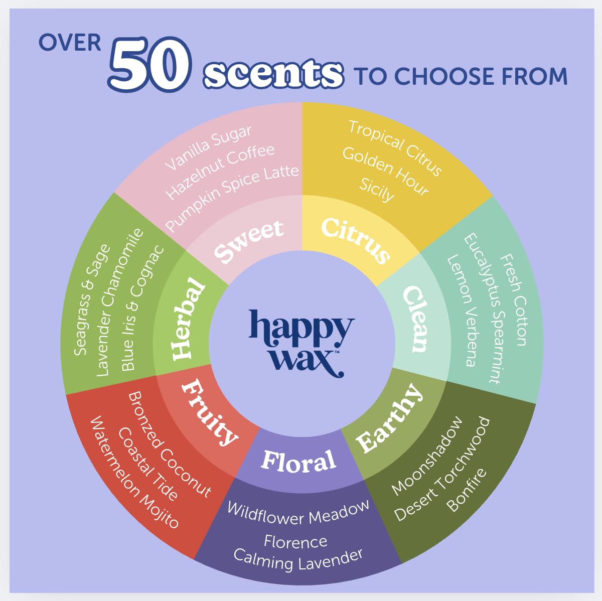 Happy Wax wax warmer setup ready to use with melts