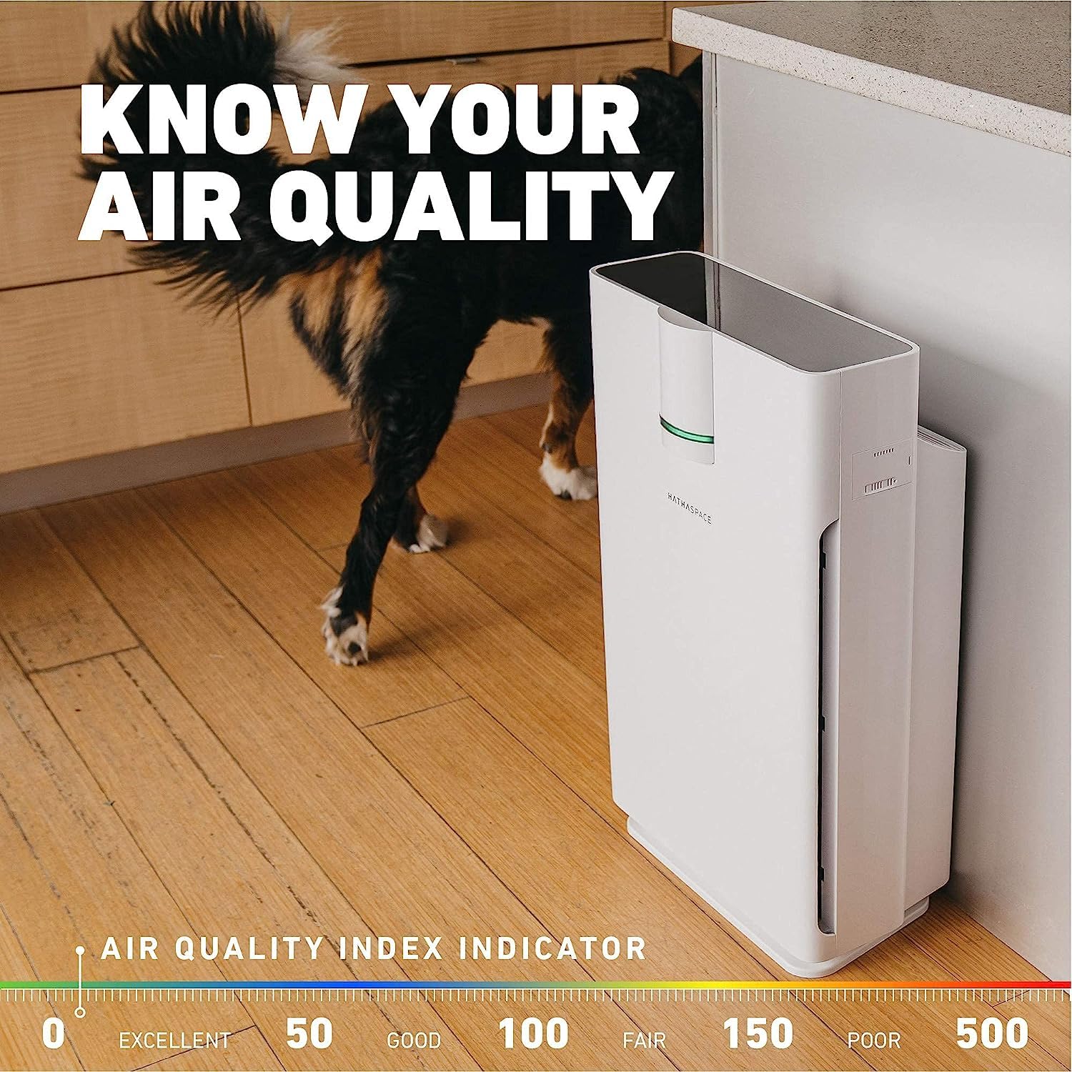 Hathaspace HSP002 carbon filter targets odors and smoke effectively