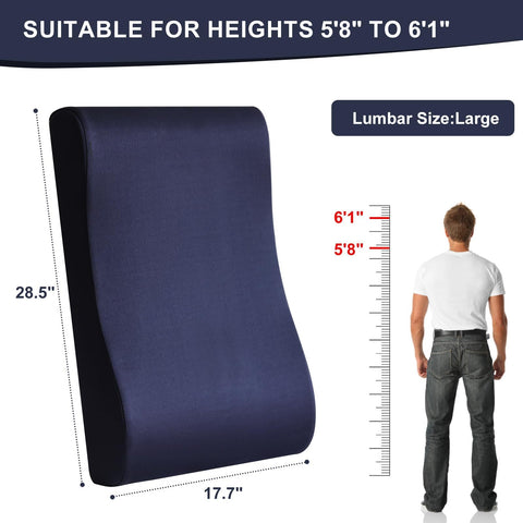 HAVARGO unified neck and lumbar support delivers cohesive comfort