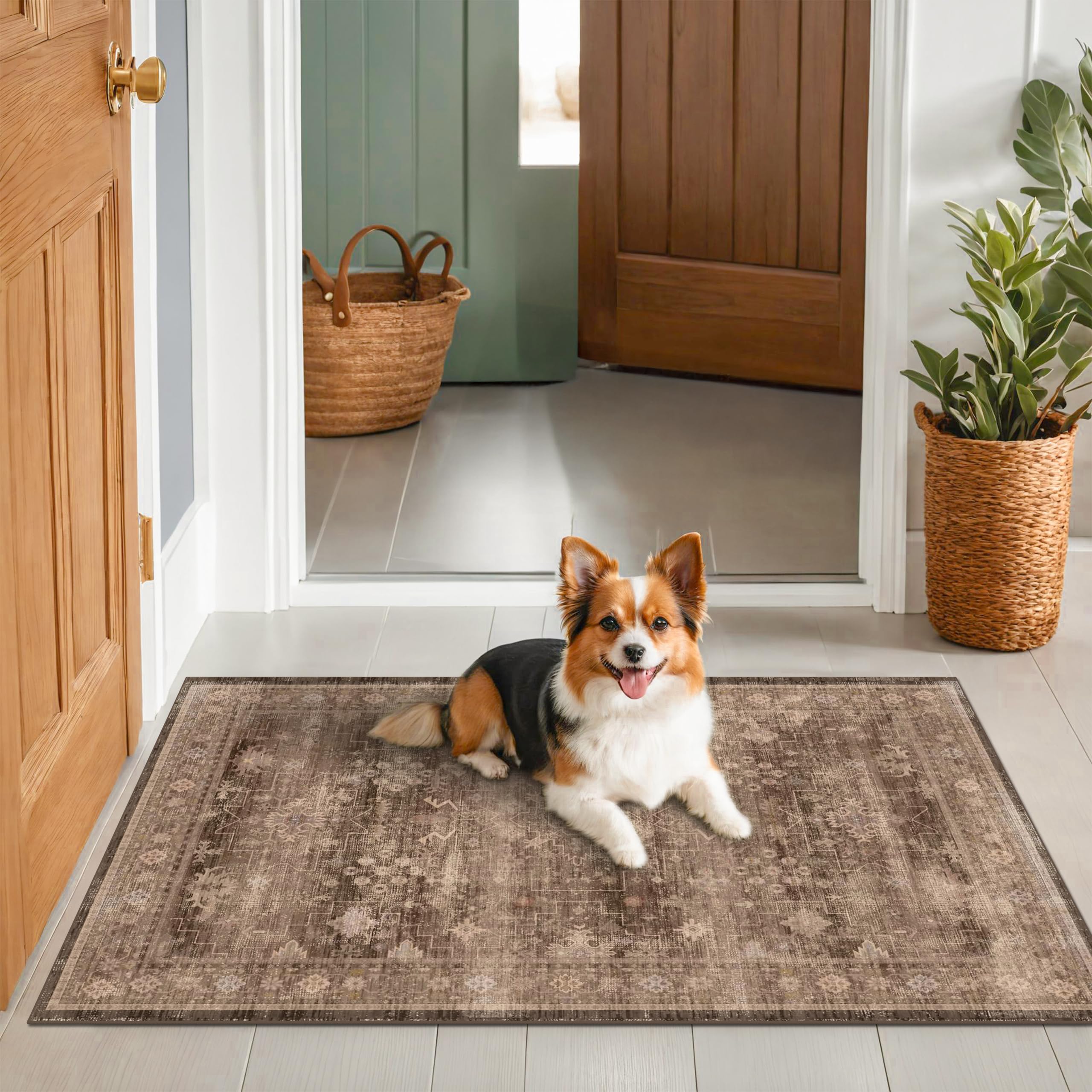 Hazo Haus easy-care rug for roll-out and machine wash routines